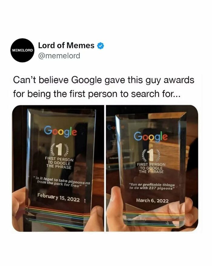 80 Hilarious Memes About Anything And Everything To Crack You Up