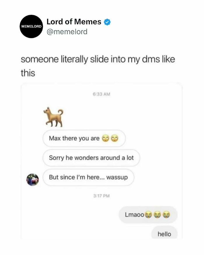 80 Hilarious Memes About Anything And Everything To Crack You Up