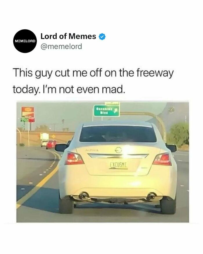 80 Hilarious Memes About Anything And Everything To Crack You Up