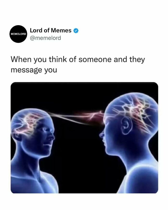 80 Hilarious Memes About Anything And Everything To Crack You Up