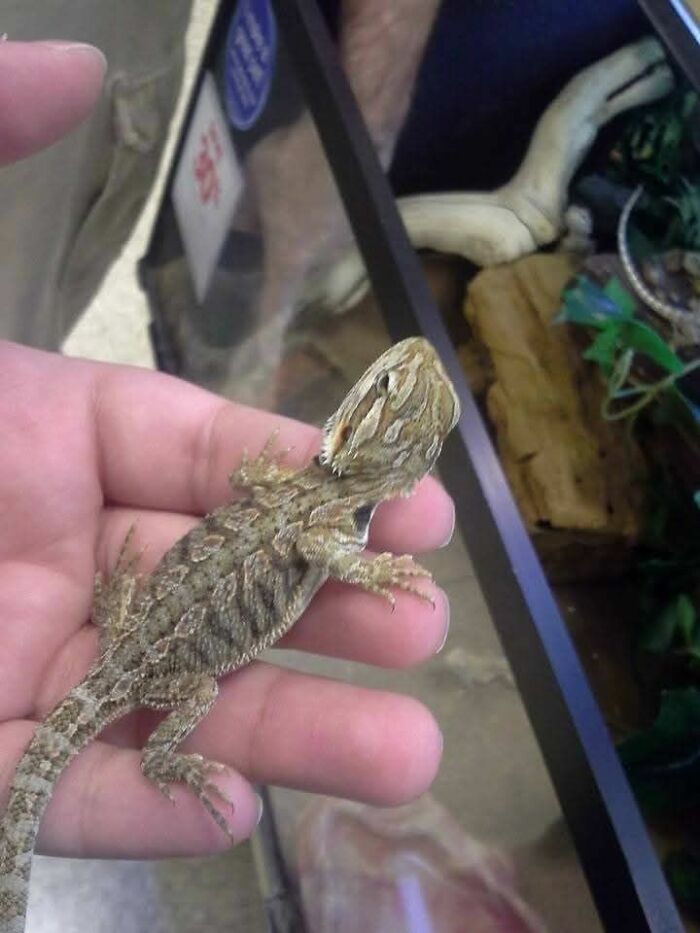 People Are Sharing The Pics That Make Them Scream ‘Hell Yeah’ And These Are 54 Of The Best