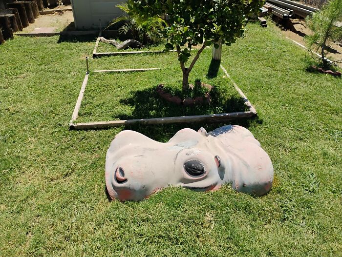 People Are Sharing The Pics That Make Them Scream ‘Hell Yeah’ And These Are 54 Of The Best