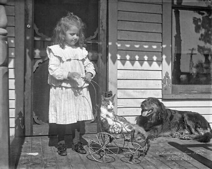 80 Fascinating Historical Images That Tell Stories Beyond Textbooks (New Pics)