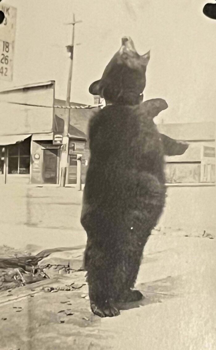 80 Fascinating Historical Images That Tell Stories Beyond Textbooks (New Pics)