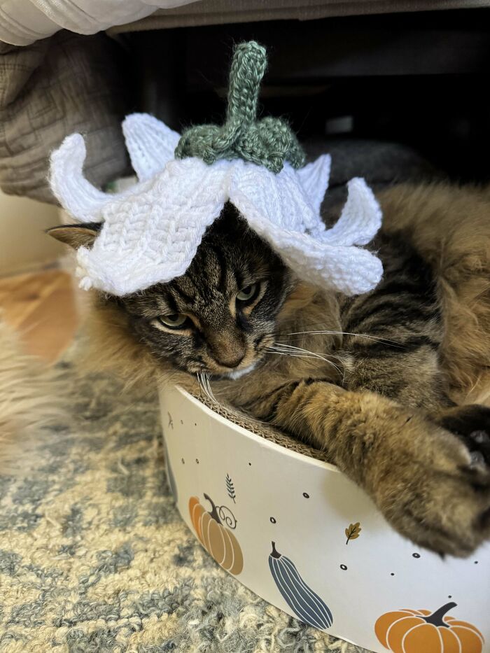 80 Times People Crocheted Something Really Creative And Cool (New Pics)