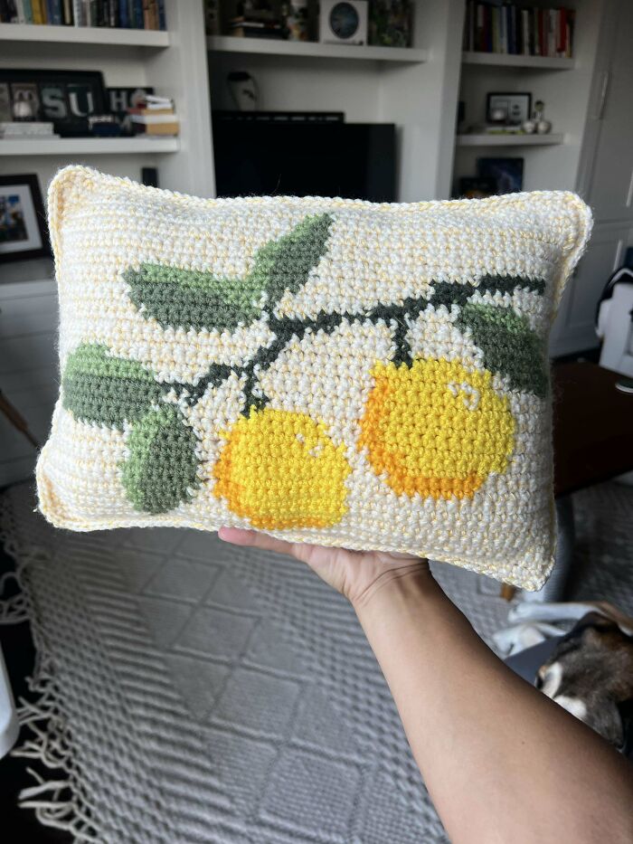 80 Times People Crocheted Something Really Creative And Cool (New Pics)