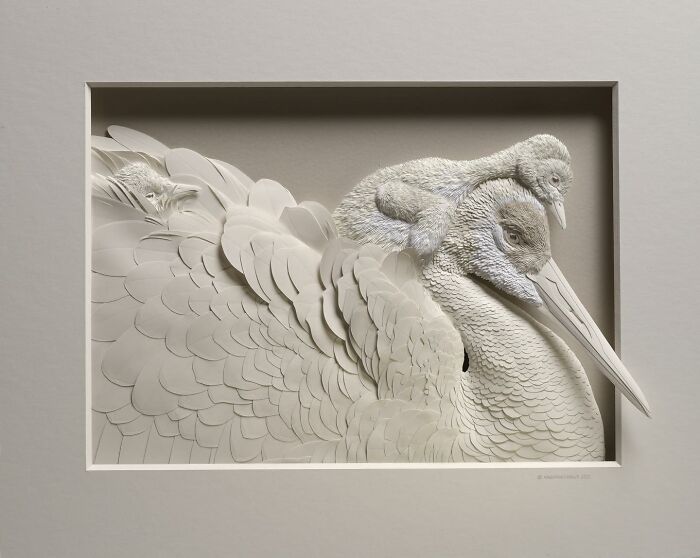 49 Incredible Paper Sculptures That Look Almost Alive By Calvin Nicholls