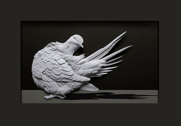 49 Incredible Paper Sculptures That Look Almost Alive By Calvin Nicholls