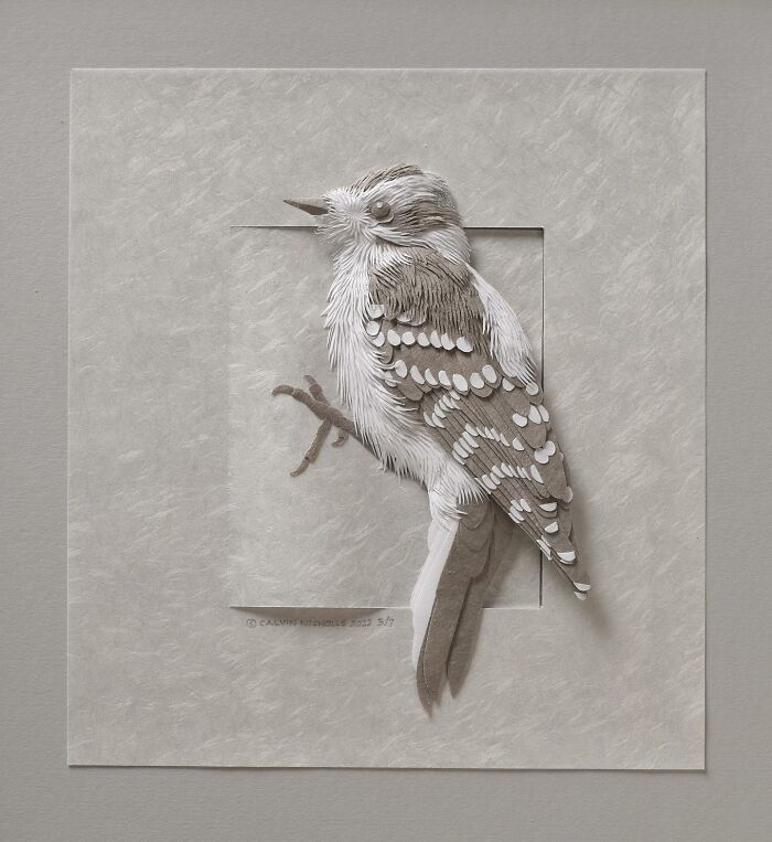 49 Incredible Paper Sculptures That Look Almost Alive By Calvin Nicholls