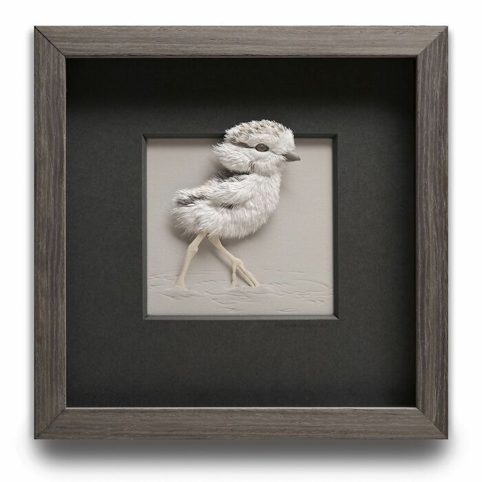 49 Incredible Paper Sculptures That Look Almost Alive By Calvin Nicholls