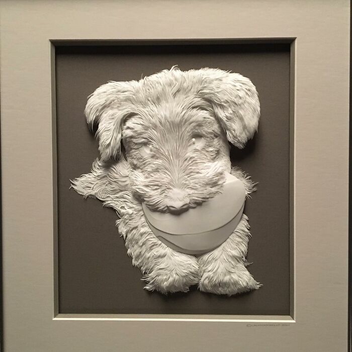 49 Incredible Paper Sculptures That Look Almost Alive By Calvin Nicholls