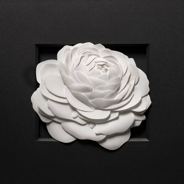 49 Incredible Paper Sculptures That Look Almost Alive By Calvin Nicholls