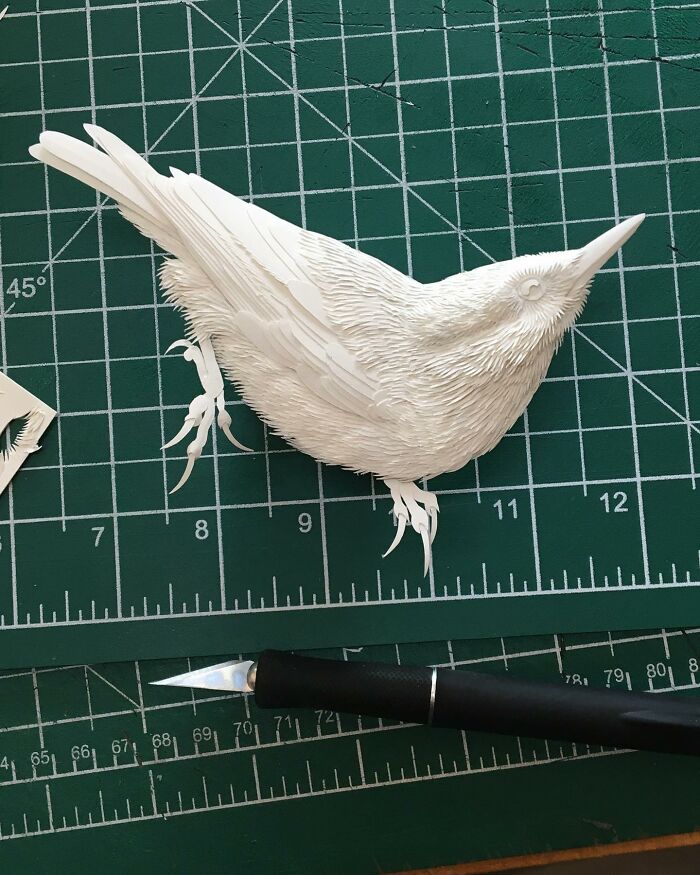 49 Incredible Paper Sculptures That Look Almost Alive By Calvin Nicholls