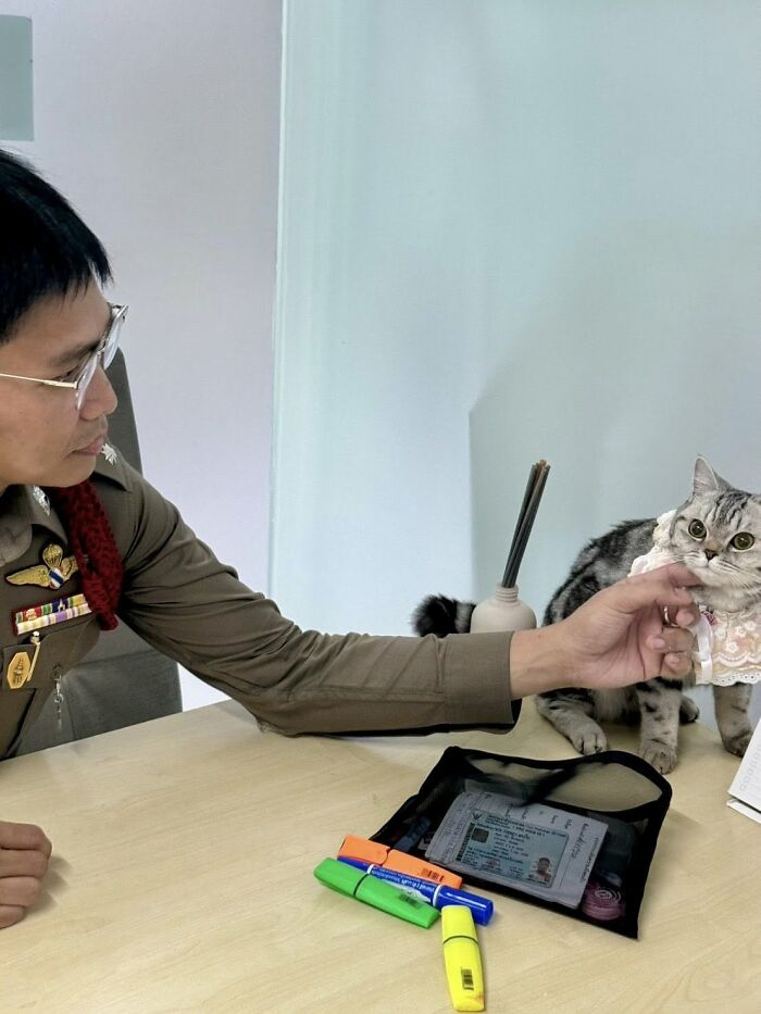 This Cat Caused Chaos At A Police Station And Got A Mugshot That’s Now Internet Gold