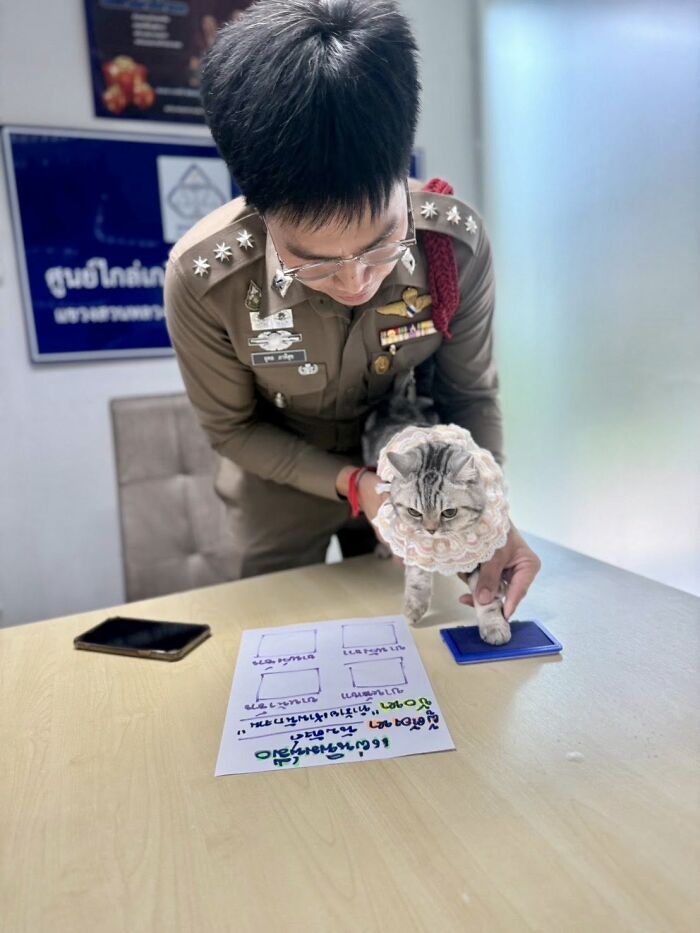 This Cat Caused Chaos At A Police Station And Got A Mugshot That’s Now Internet Gold