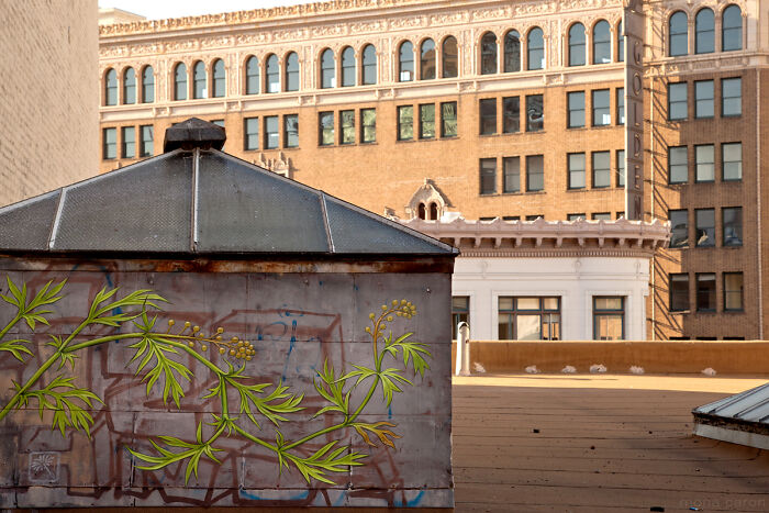 From Graffiti To Googly Eyes: 50 Street Art Gems You Have To See