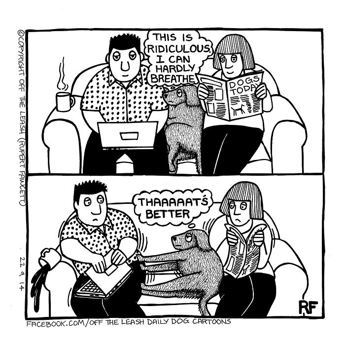 24 &#8220;Off The Leash&#8221; Comics That Nail The Everyday Chaos Of Having A Dog (New Pics)
