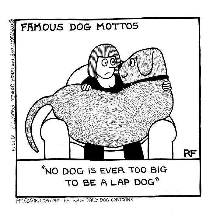 24 &#8220;Off The Leash&#8221; Comics That Nail The Everyday Chaos Of Having A Dog (New Pics)