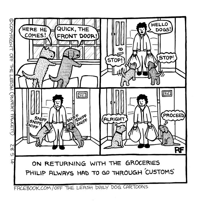 24 &#8220;Off The Leash&#8221; Comics That Nail The Everyday Chaos Of Having A Dog (New Pics)