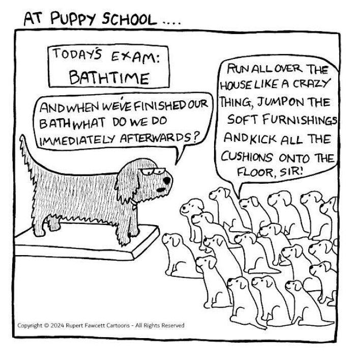 24 &#8220;Off The Leash&#8221; Comics That Nail The Everyday Chaos Of Having A Dog (New Pics)