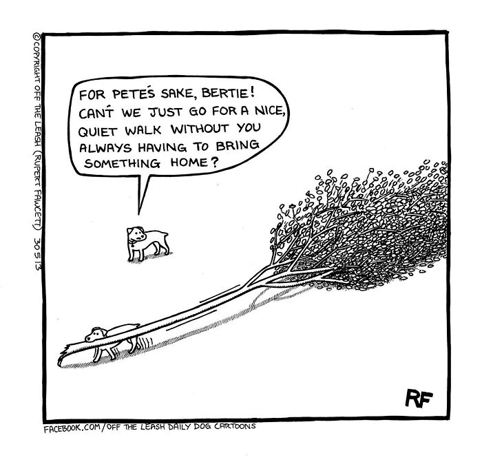 24 &#8220;Off The Leash&#8221; Comics That Nail The Everyday Chaos Of Having A Dog (New Pics)