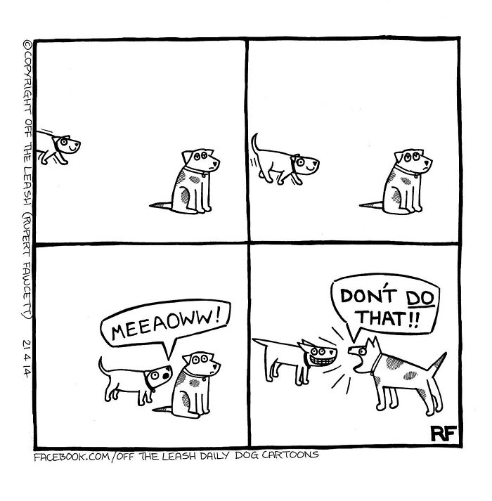 24 &#8220;Off The Leash&#8221; Comics That Nail The Everyday Chaos Of Having A Dog (New Pics)