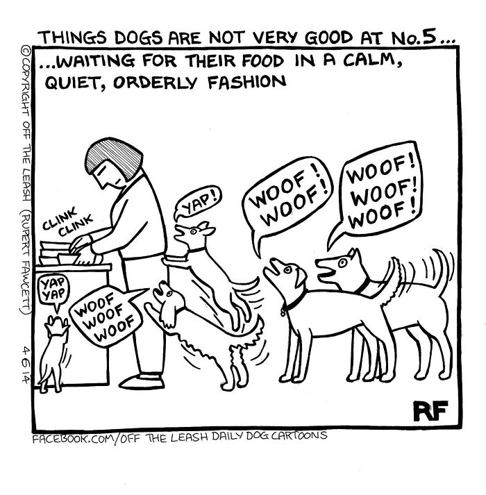 24 &#8220;Off The Leash&#8221; Comics That Nail The Everyday Chaos Of Having A Dog (New Pics)