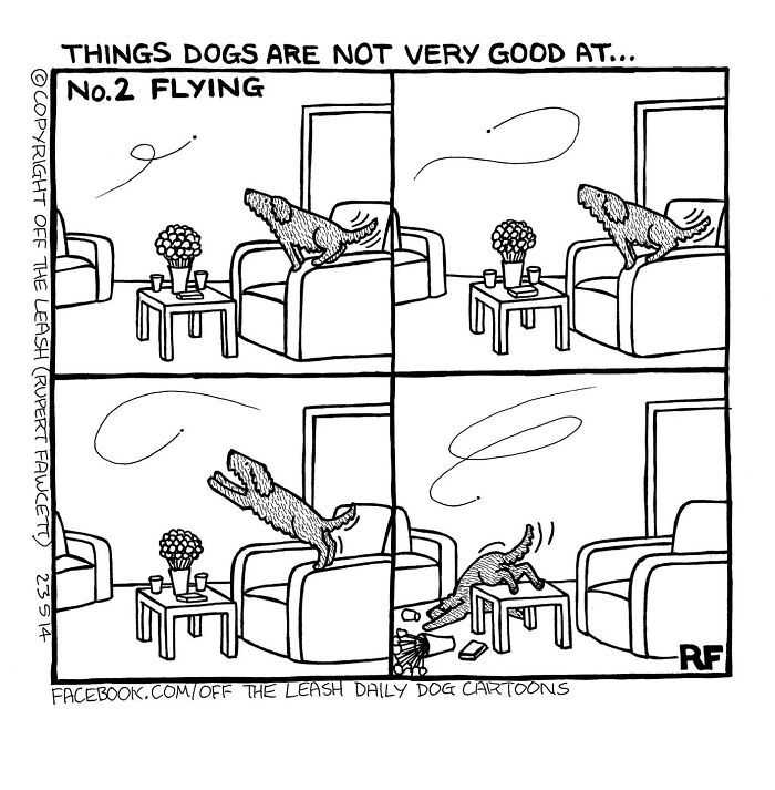 24 &#8220;Off The Leash&#8221; Comics That Nail The Everyday Chaos Of Having A Dog (New Pics)