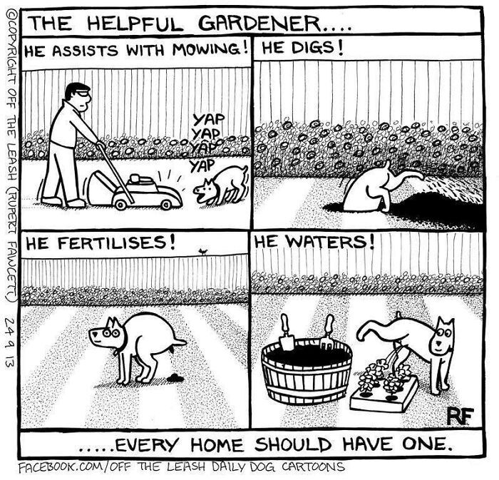 24 &#8220;Off The Leash&#8221; Comics That Nail The Everyday Chaos Of Having A Dog (New Pics)