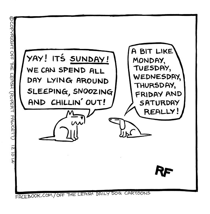 24 &#8220;Off The Leash&#8221; Comics That Nail The Everyday Chaos Of Having A Dog (New Pics)