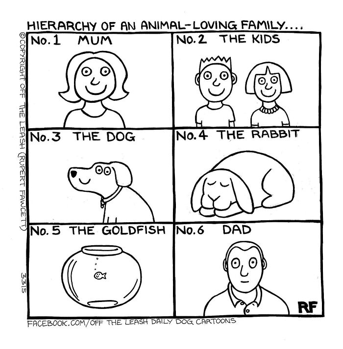 24 &#8220;Off The Leash&#8221; Comics That Nail The Everyday Chaos Of Having A Dog (New Pics)