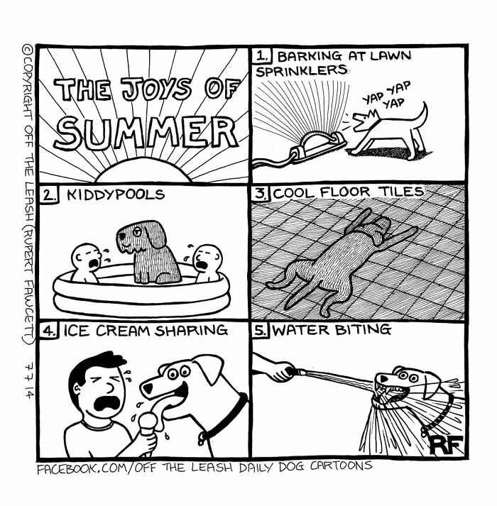 24 &#8220;Off The Leash&#8221; Comics That Nail The Everyday Chaos Of Having A Dog (New Pics)