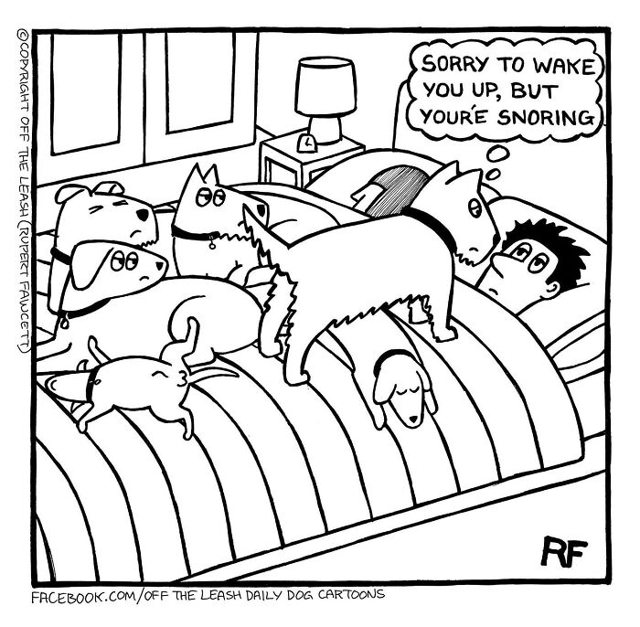24 &#8220;Off The Leash&#8221; Comics That Nail The Everyday Chaos Of Having A Dog (New Pics)