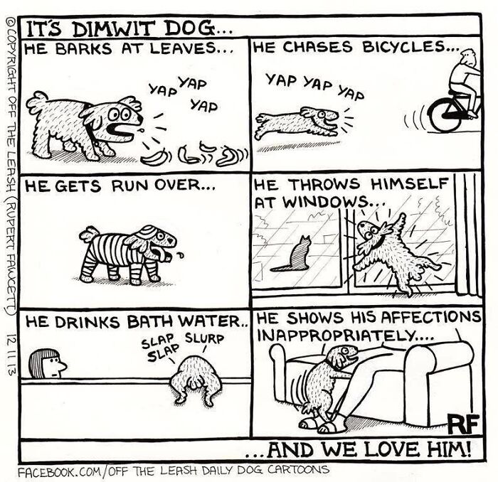24 &#8220;Off The Leash&#8221; Comics That Nail The Everyday Chaos Of Having A Dog (New Pics)