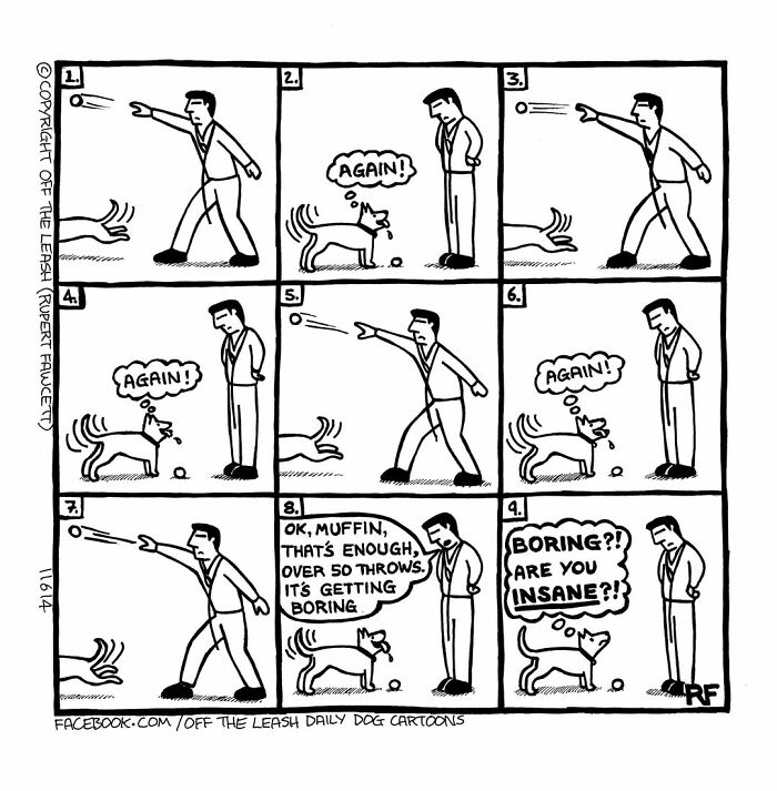 24 &#8220;Off The Leash&#8221; Comics That Nail The Everyday Chaos Of Having A Dog (New Pics)