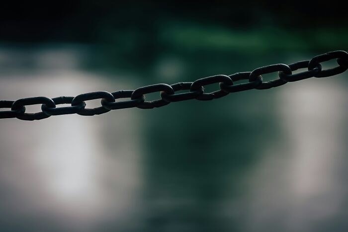 Ignorance Is Bliss: 65 People Share The Most Bizarre Facts They Now Regret Learning