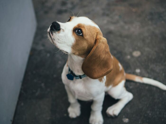 Ignorance Is Bliss: 65 People Share The Most Bizarre Facts They Now Regret Learning