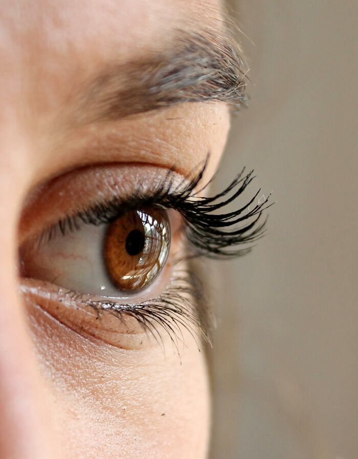 Ignorance Is Bliss: 65 People Share The Most Bizarre Facts They Now Regret Learning