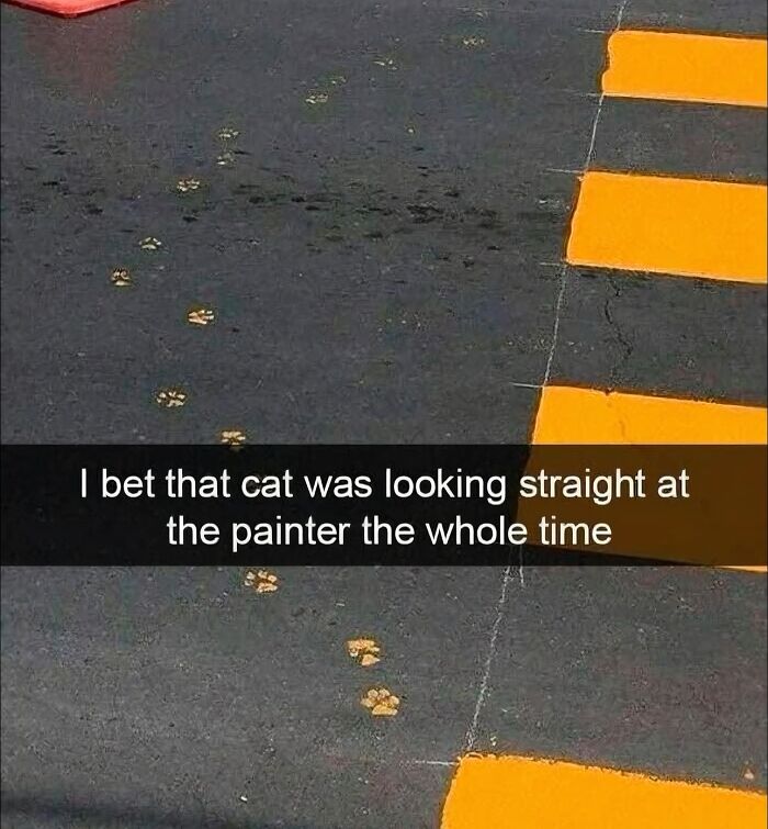 80 Times Cats Committed The Most Annoying Crimes But People Just Couldn’t Be Mad At Them (New Pics)