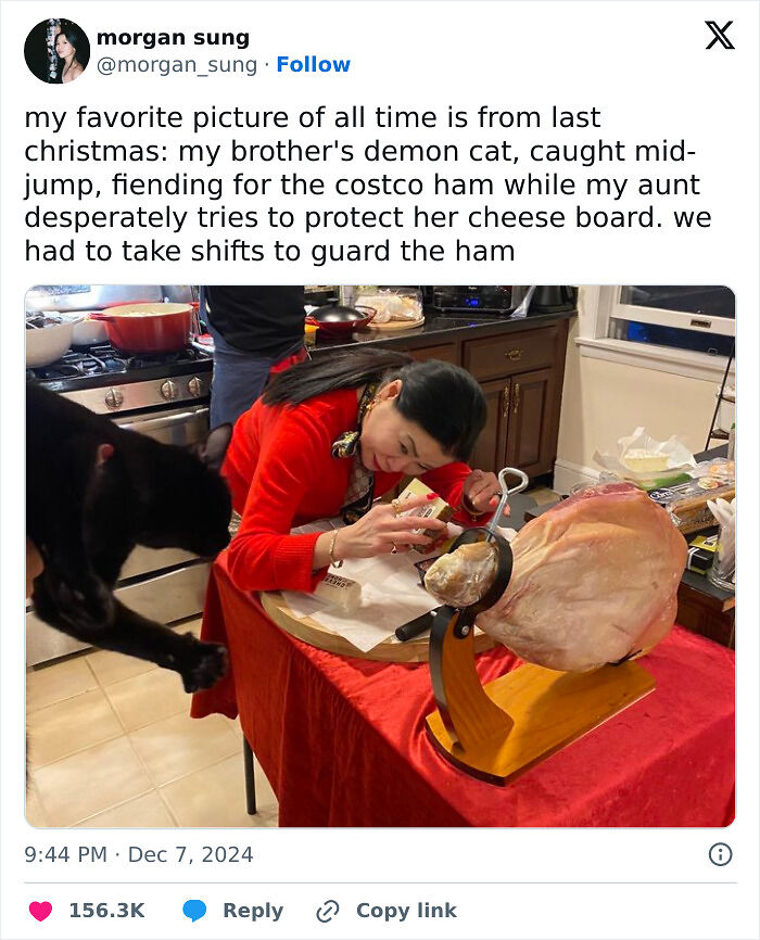 80 Times Cats Committed The Most Annoying Crimes But People Just Couldn’t Be Mad At Them (New Pics)