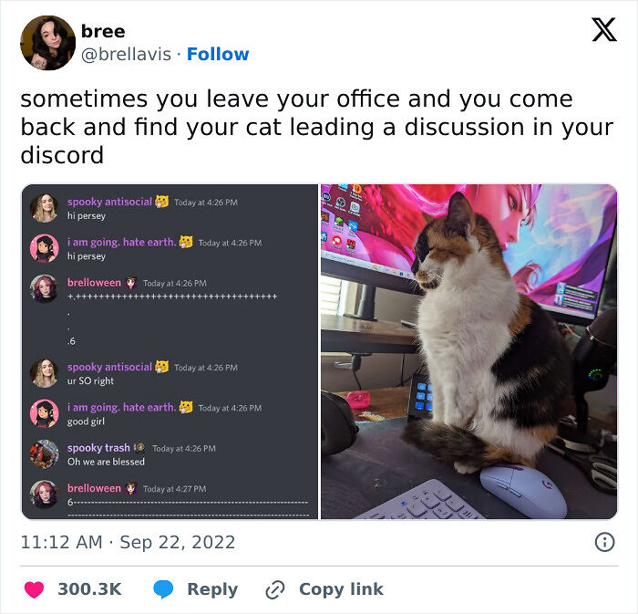 80 Times Cats Committed The Most Annoying Crimes But People Just Couldn’t Be Mad At Them (New Pics)