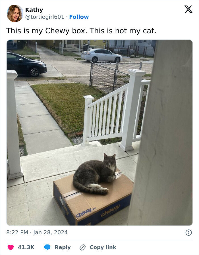 80 Times Cats Committed The Most Annoying Crimes But People Just Couldn’t Be Mad At Them (New Pics)