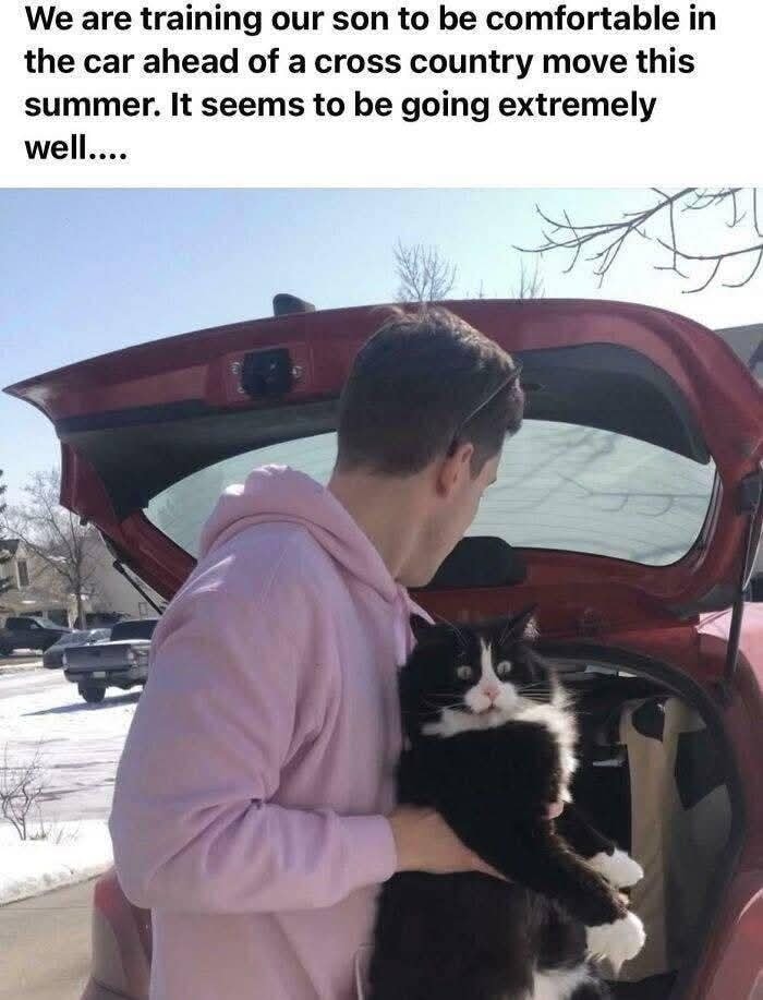 80 Times Cats Committed The Most Annoying Crimes But People Just Couldn’t Be Mad At Them (New Pics)