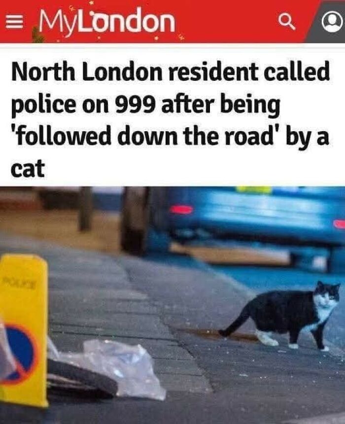 80 Times Cats Committed The Most Annoying Crimes But People Just Couldn’t Be Mad At Them (New Pics)