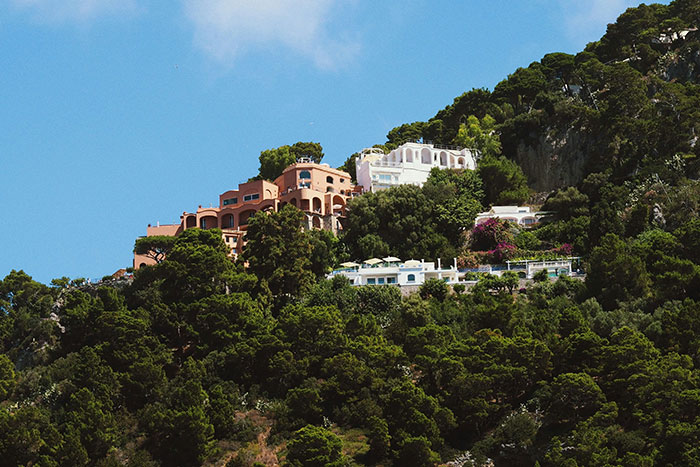 57 Bizarre Purchases That Prove Rich People Live In Another Reality
