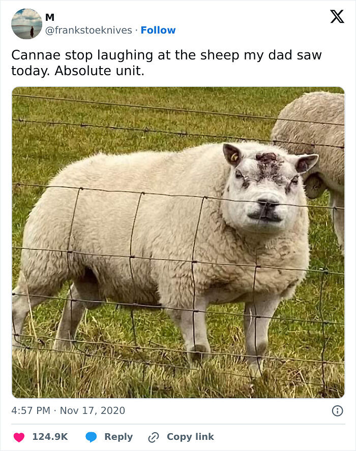 79 Hilarious Memes That Prove The UK Is A Nation Like No Other