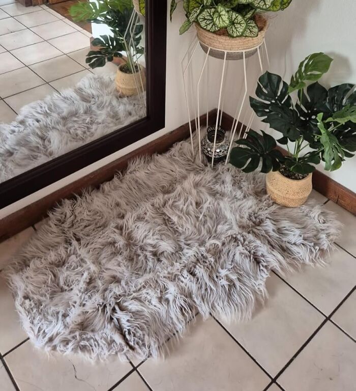 Survive Freshman Year (And Beyond) With These 24 Genius Dorm Finds