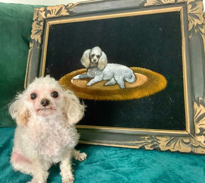 93 Decor Pieces That Made Peoples Homes A More Magical Place