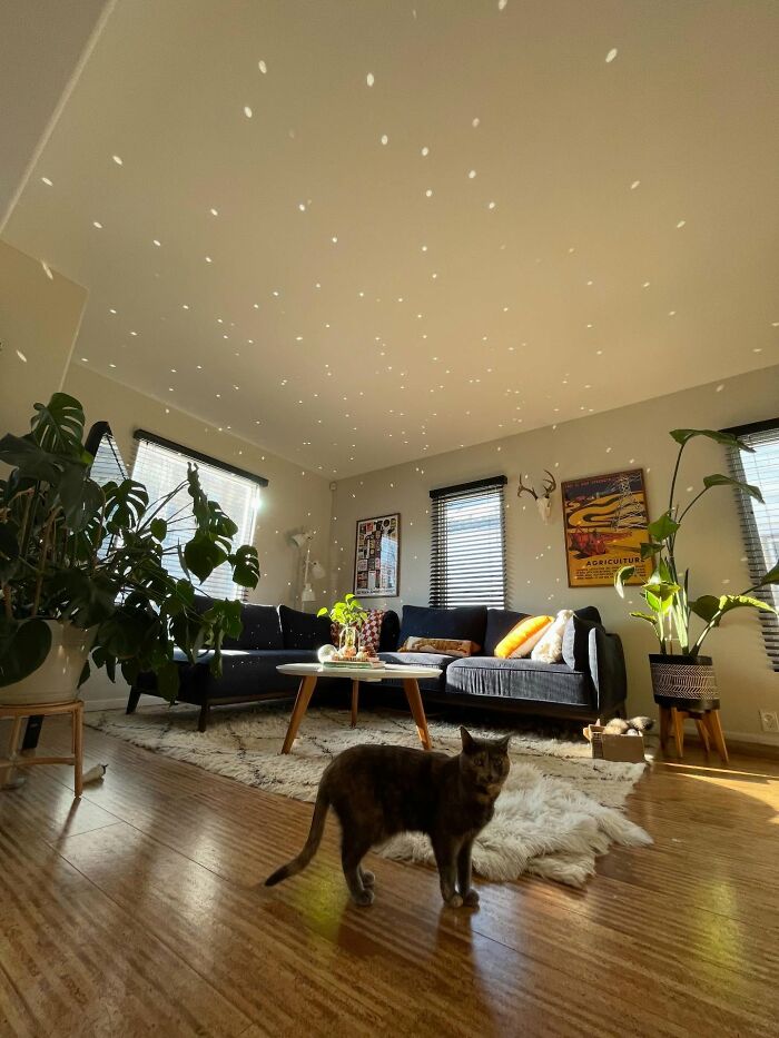 93 Decor Pieces That Made Peoples Homes A More Magical Place