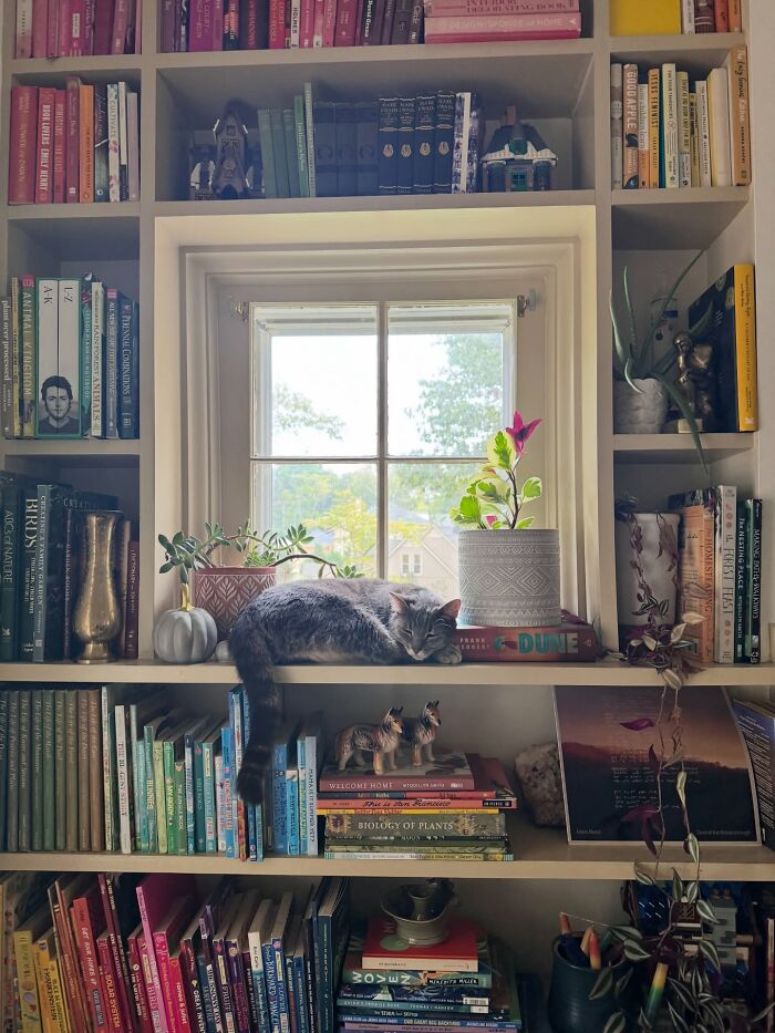 93 Decor Pieces That Made Peoples Homes A More Magical Place